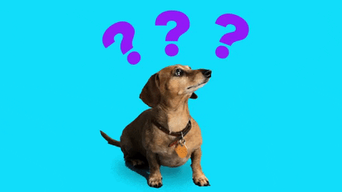 A little doggo on a bright blue backgrounds turns his head back and forth. There are purple question marks bouncing up and down over his little doggo head. 