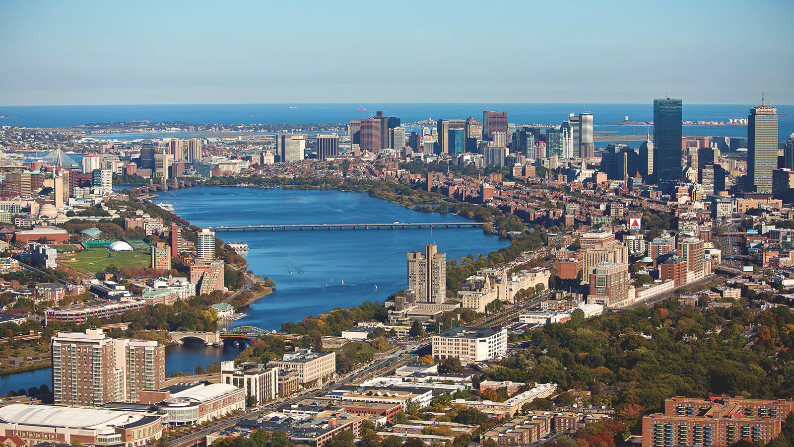 Boston University for international students 
